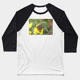 Junonia coenia butterfly, known as the common buckeye, on yellow flowers Baseball T-Shirt